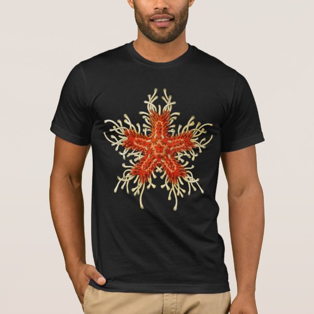 Camiseta Pescados de la estrella (Anverso)