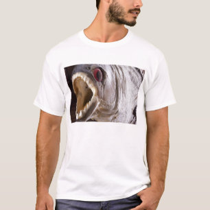 Camiseta Pescados de la piraña como el trofeo en la madera