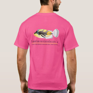 Camiseta Pescados del estado de Hawaii -
