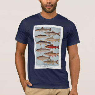 Camiseta Pescados del vintage