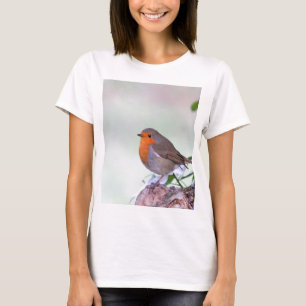 Camiseta Petirrojo