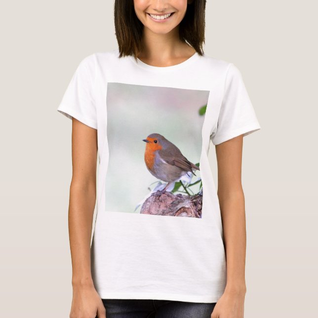 Camiseta Petirrojo (Anverso)