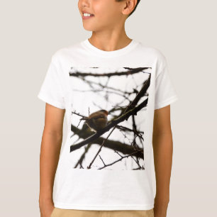 Camiseta Petirrojo inglés regordete