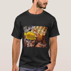 Camiseta Pez Amarillo
