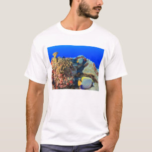 Camiseta Pez ángel real (Pygoplites diacanthus),