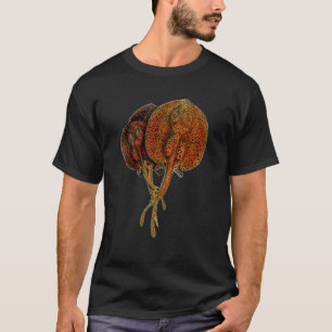 Camiseta Pez Exótico Raya Manta Potamotrygon Aqua Monstruo