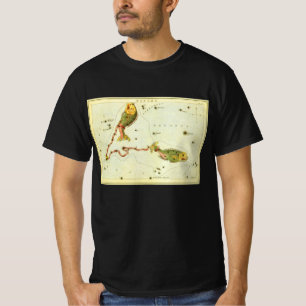 Camiseta Pez Piscis, Espejo de Urania de constelación vinta