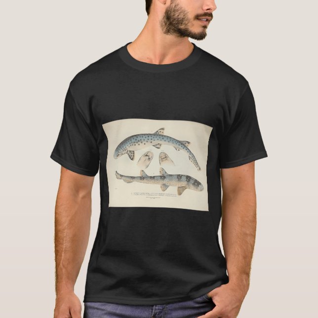 Camiseta Pez sierra (Anverso)