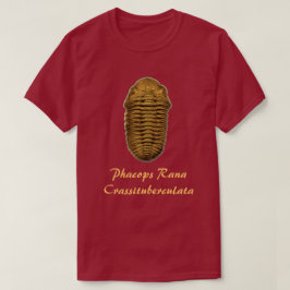 Camiseta Phacops Rana Crassituberculata