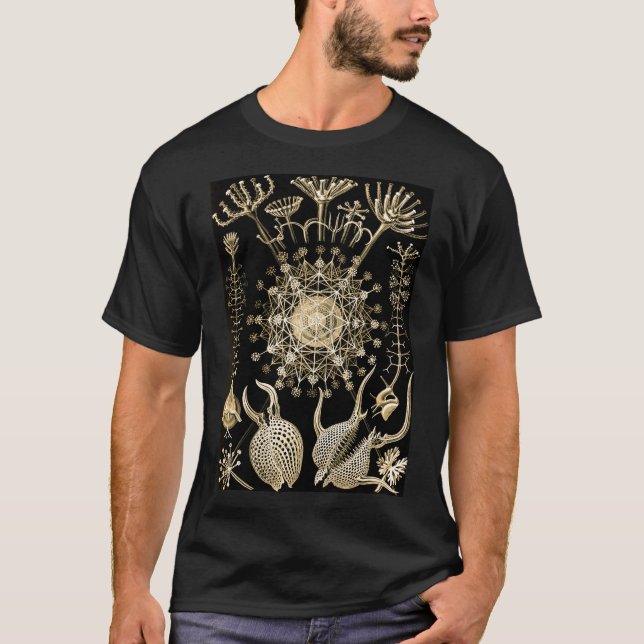 Camiseta Phaeodaria | 61 Oro | Ernst Haeckel | (Anverso)