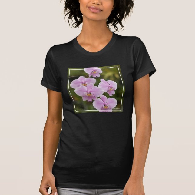 Camiseta Phalaenopsis Schilleriana (Anverso)