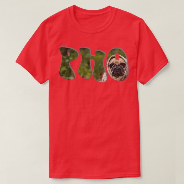 CAMISETA PHO (Diseño del anverso)
