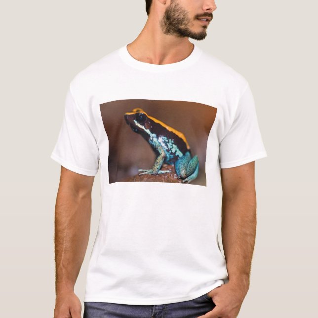 Camiseta Phyllobates vittatus, una rana de flecha envenenad (Anverso)