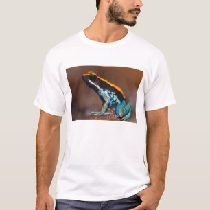 Camiseta Phyllobates vittatus, una rana venenosa
