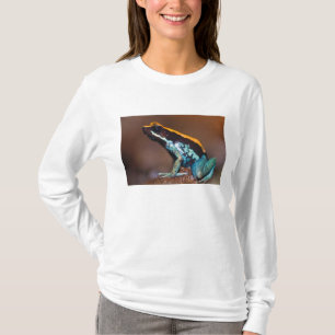 Camiseta Phyllobates vittatus, una rana venenosa