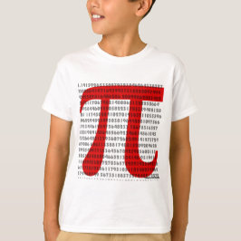Camiseta pi