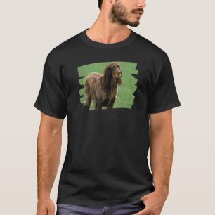 Camiseta Picardy Spaniel Dog