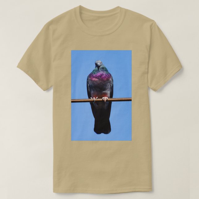 Camiseta pichón dignificado (Diseño del anverso)