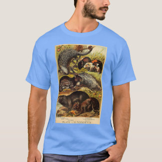 Camiseta Pig Porcupine Vintage Lit