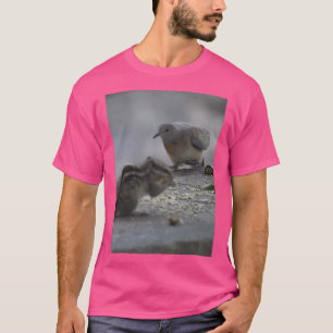 Camiseta pigeon and Squirrel bonding