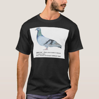 Camiseta Pigeon by NuancesdePigeon T-shirts