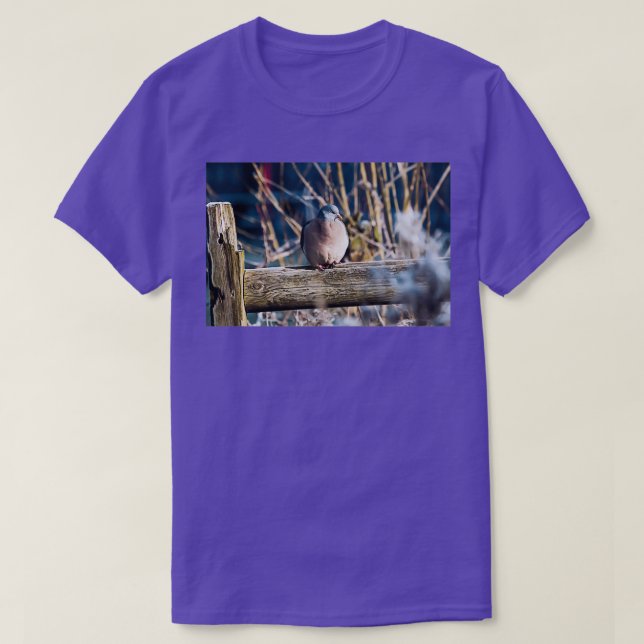Camiseta Pigeon de Wood Winter (Diseño del anverso)