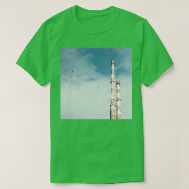 Camiseta Pigeon House (Diseño del anverso)