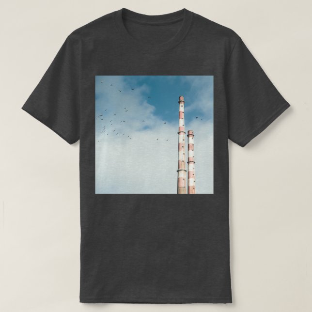 Camiseta Pigeon House 2 (Diseño del anverso)