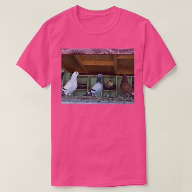 Camiseta Pigeons 3 1 (Diseño del anverso)