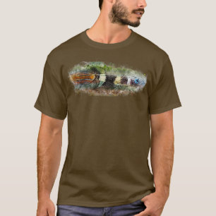Camiseta Pike Epiplatys annulatus
