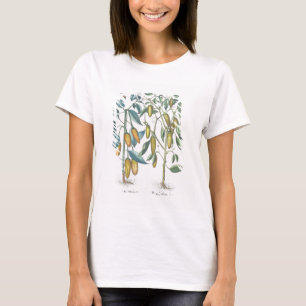 Camiseta Pimientas: flavis de los filiquis de 1.Piper