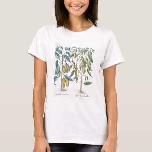 Camiseta Pimientos: 1.Piper Indicum filiquis flavis; 2.Pipe