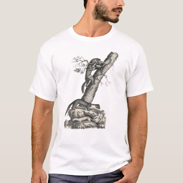 Camiseta Pine Marten, House Marten y Ermine Antique Print (Anverso)