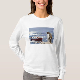 Camiseta Pingüino de Gentoo