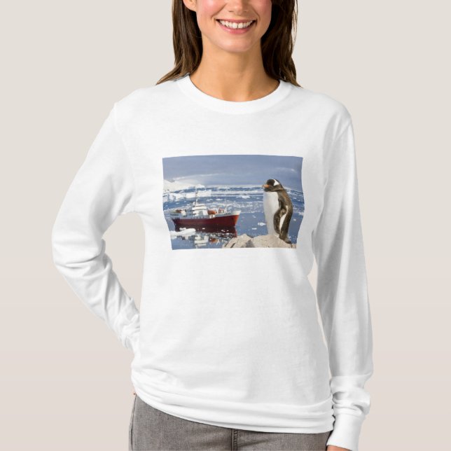 Camiseta Pingüino de Gentoo (Anverso)