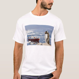 Camiseta Pingüino de Gentoo