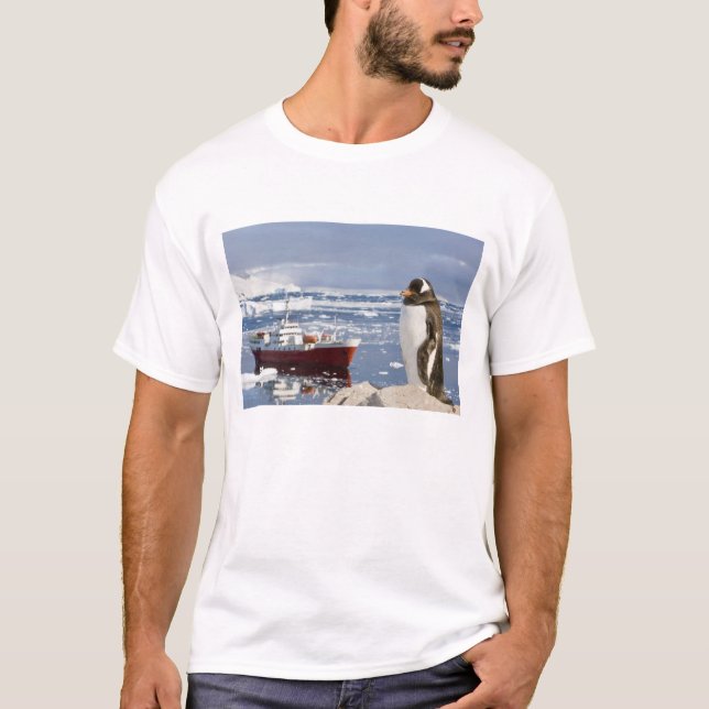 Camiseta Pingüino de Gentoo (Anverso)