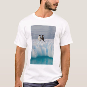 Camiseta pingüino de gentoo, Pygoscelis Papua, en hielo gla
