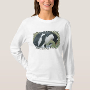 Camiseta Pingüino de Gentoo, (Pygoscelis papua), Islas Malv