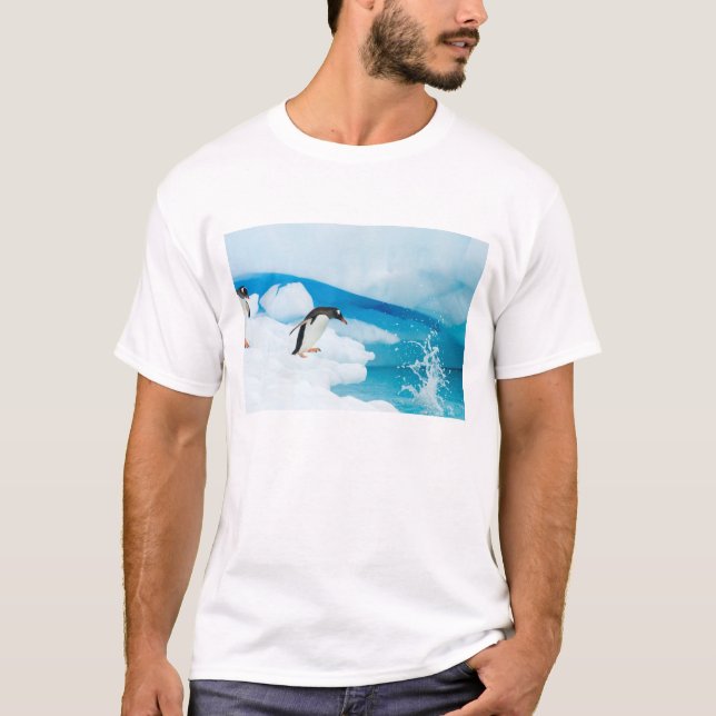 Camiseta pingüino de gentoo, Pygoscelis Papua, saltando (Anverso)