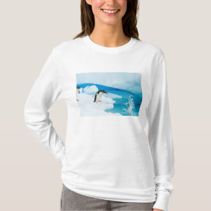 Camiseta pingüino de gentoo, Pygoscelis Papua, saltando
