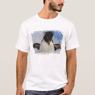 Camiseta Pingüino de penacho amarillo Eudyptes chrysocome