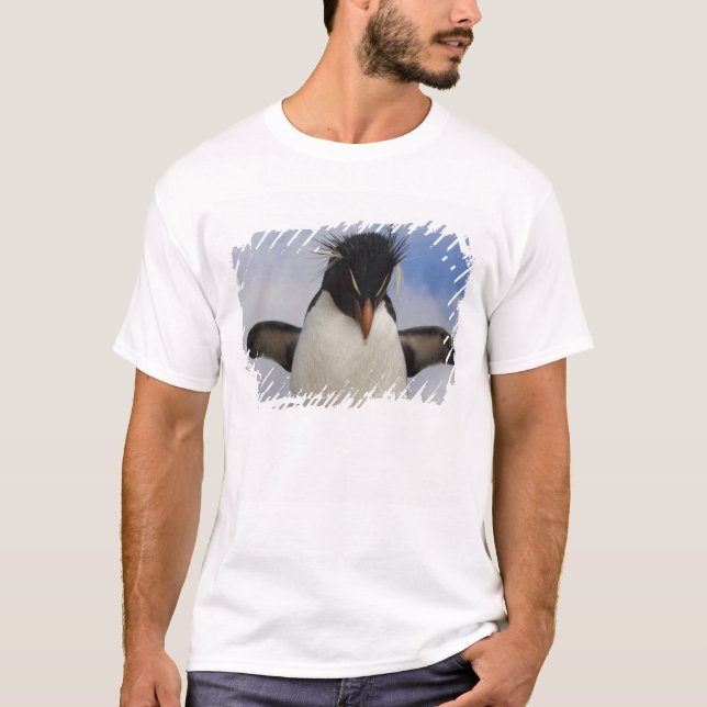 Camiseta Pingüino de penacho amarillo Eudyptes chrysocome (Anverso)