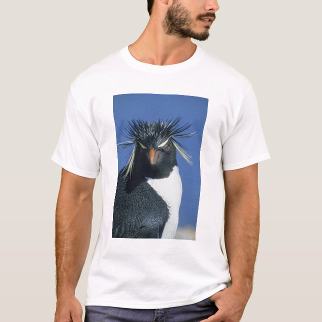 Camiseta Pingüino de Rockhopper (crisoven de los Eudyptes) (Anverso)