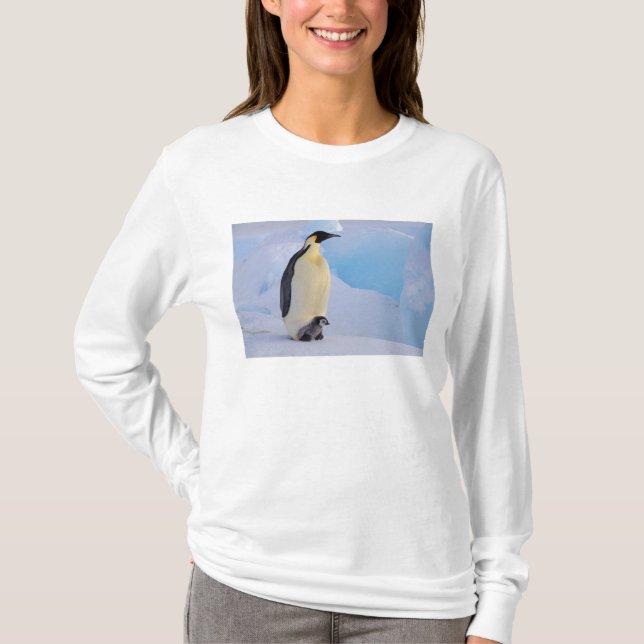 Camiseta Pingüino Emperador | Aptenodytes (Anverso)