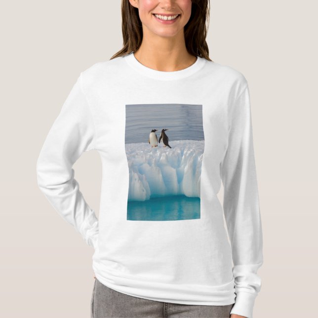 Camiseta Pingüino gentoo, Papúa Pygoscelis, sobre hielo gla (Anverso)