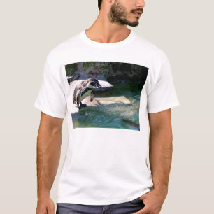 Camiseta Pingüino Humboldt