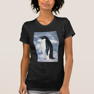 Camiseta Pingüino lindo Bellos animales de la naturaleza co