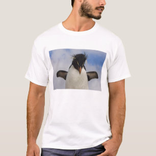 Camiseta Pingüino saltarrocas Eudyptes chrysocome