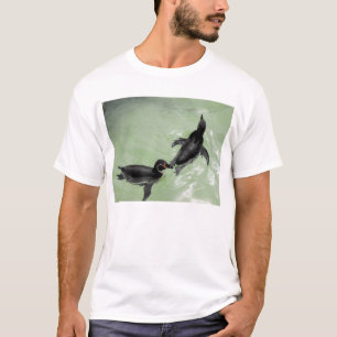 Camiseta Pingüinos
